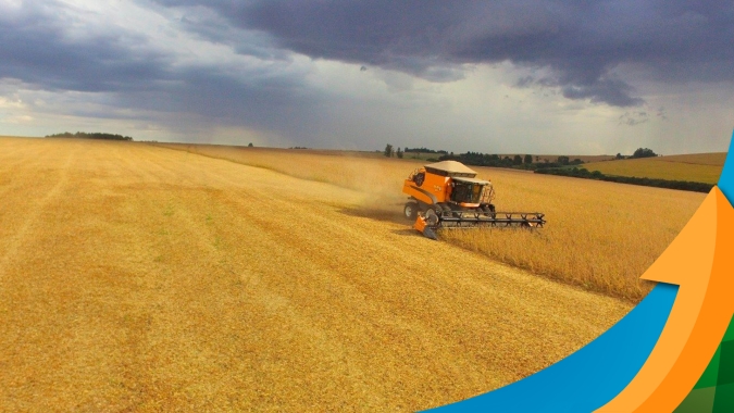 Após pausa na colheita por causa de chuvas intensas, produtores de Carazinho/RS voltam aos trabalhos de campo