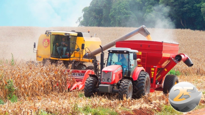 Paraná encerra safrinha de milho com produtividades abaixo da expectativa e variando de 30 à 140 sc/ha