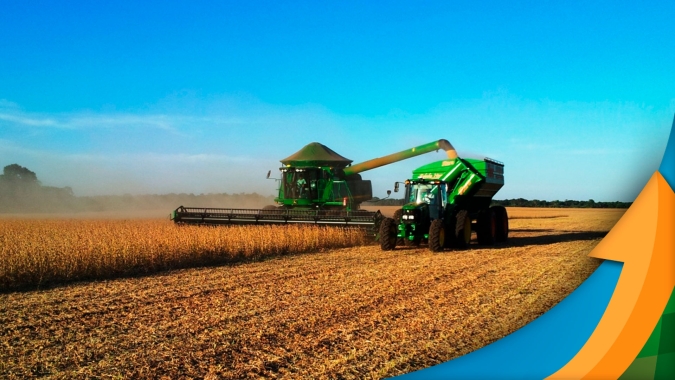 Colheita da soja vai começar em Nova Xavantina/MT com expectativa de alta produtividade