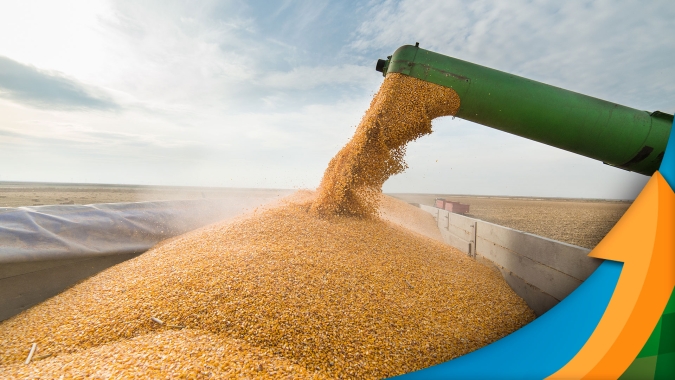 Cerejeiras/RO colhe a soja e espera superar produtividade da última safra