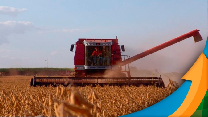Produtividade da soja foi maior do que o esperado em Chapadão do Sul/MS, mas queda dos preços preocupa