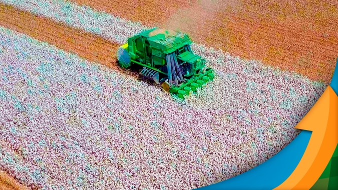 Brasil fecha safra de algodão 20/21 com redução na produção após menos área plantada e falta de chuvas