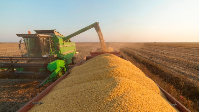 AgRural: Com MT na dianteira e PR atrasado, colheita de soja do Brasil avança para 2%
