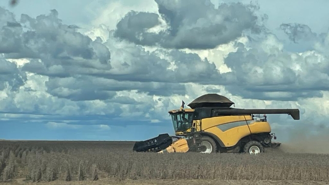 Colheita do milho ganha ritmo no Mato Grosso e Goiás e já chega aos 38,9% no Brasil, aponta Conab