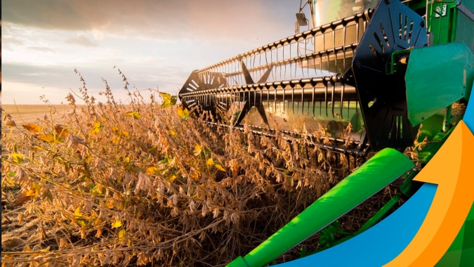 Aprosoja MT estima safra de soja 23/24 com a maior quebra porcentual de produtividade dos últimos 30 anos