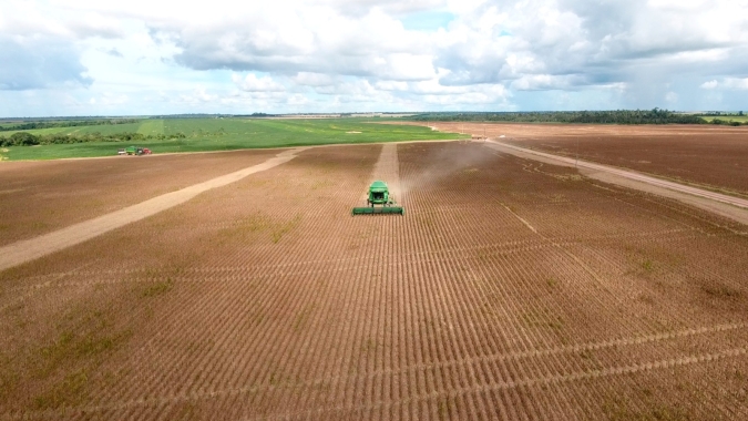 COOPERNORTE registra recorde de colheita na safra 22/23, com aumento de 15% na produção de soja
