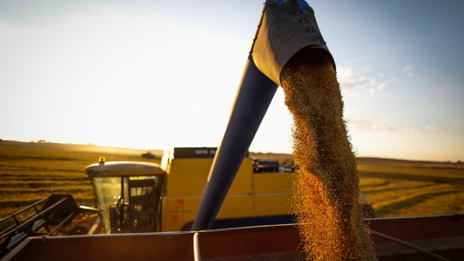 Colheita da soja segue atrasada e alcança 2,3% da área, informa Pátria Agronegócios