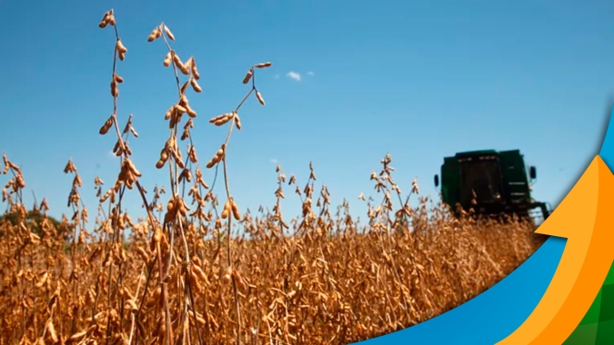 Primeiras áreas colhidas de soja em Canarana/MT produziram entre 20 e 40 sc/ha