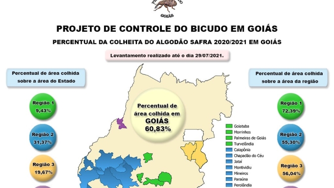 Goiás ultrapassa 60% de sua colheita de algodão