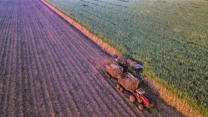 Parceria entre BP Bunge e Coopercitrus viabiliza primeira operação de barter com a fixação de ATR de cana no mundo