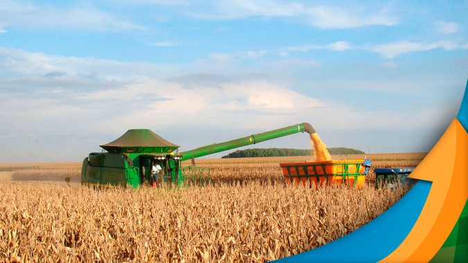 Restando apenas 5% do milho para colher, Marechal Cândido Rondon/PR vai confirmando produtividade de 30/50 sc/ha