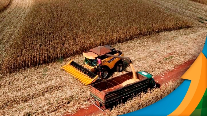 Colheita do milho chega perto do final com média acima de 130 sc/ha em Chapadão do Sul/MS