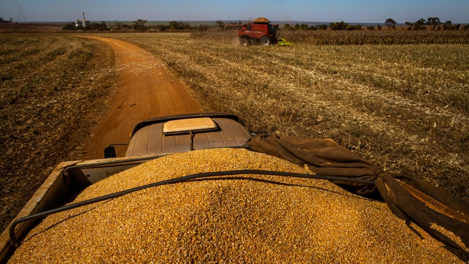 Brasil já exportou quase 1 milhão de ton de milho em apenas 6 dias de julho