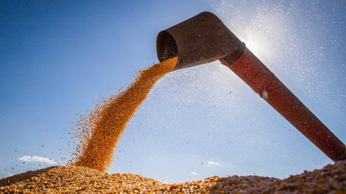 Colheita do milho vai à 78% na Argentina e se antecipa ainda mais com relação à 2021, aponta Ministério de Agricultura
