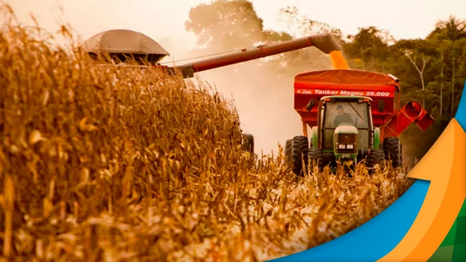 Nova Xavantina/MT entra na reta final de colheita com boas produtividades de milho e gergelim