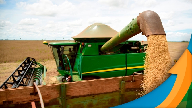 Cascavel/PR esperava 80 sacas por hectare de média na soja, mas está rodando entre 27 e 30 sacas
