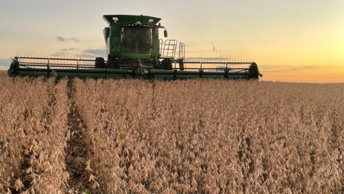Colheita de soja do Brasil avança para 57,43% da área, estima Pátria AgroNegócios
