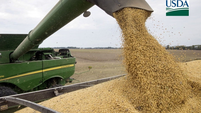USDA reduz safras de soja e milho da Argentina, além de estoques finais da oleaginosa nos EUA