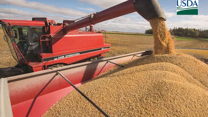 USDA mantém estimativa para safras de soja e milho do Brasil; mercado esperava cortes