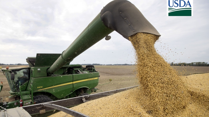 USDA reduz produção e produtividade de soja dos EUA, mas aumenta números do milho