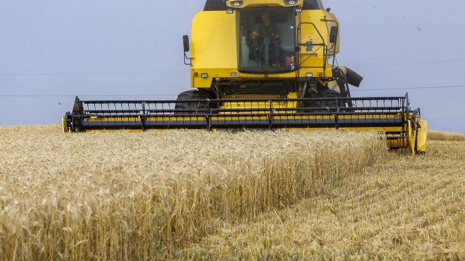 Trigo já tem 3% da área cultivada colhida no Rio Grande do Sul