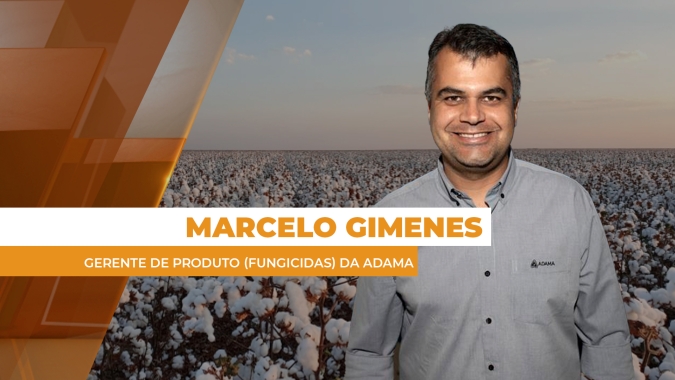 Mais comum na soja, mancha-alvo tem impactado a cultura do algodão