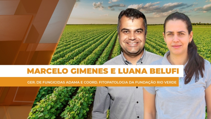 Com podridão em segundo plano, mancha-alvo e cercospora se tornam os principais desafios na soja
