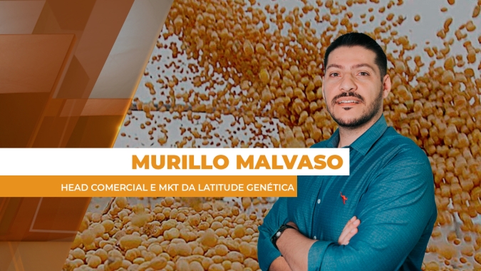 Variedades de soja com alta produtividade e adaptação são desenvolvidas para Matopiba