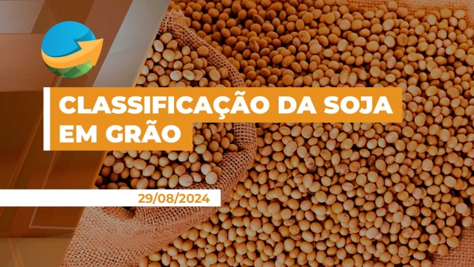 Aprosoja Brasil cobra publicação de nova Instrução Normativa para classificação da soja em grão