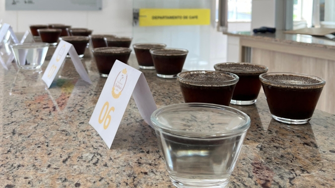 Safra 2025: cafés recebidos pela Coopercam surpreendem pela qualidade