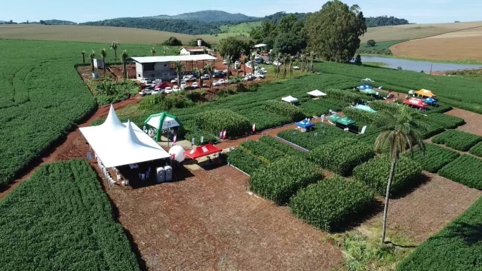 Mapa institui programa de inovação aberta na agropecuária