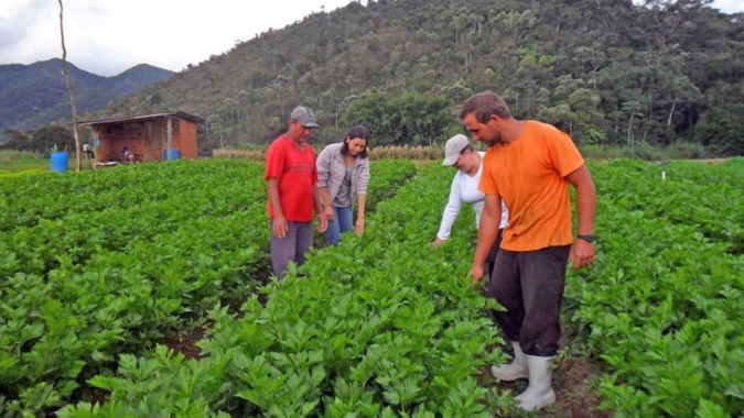 Seguridade especial para cooperados do campo é sancionada