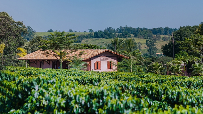 Projeto Corredores Arborizados amplia iniciativas em cafeicultura regenerativa da Expocacer