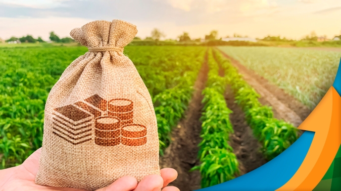 Crédito rural para pessoas físicas chega de micro a médios produtores e ajuda a fomentar a agricultura brasileira