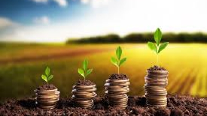 Crédito rural inteligente: as melhores condições para investir e crescer no agro