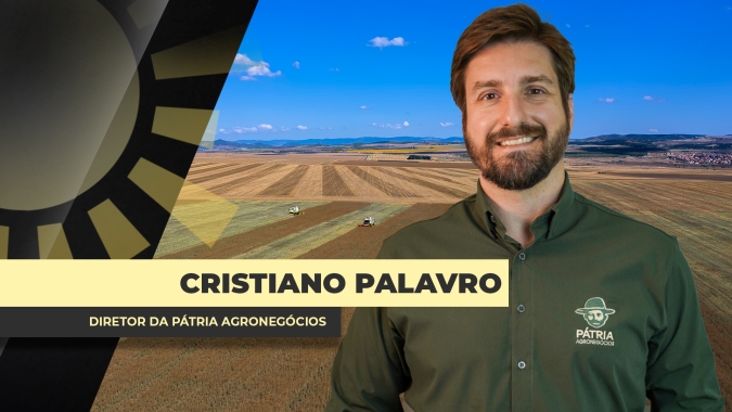 Argentina: Pátria registra problemas pontuais nas lavouras de soja e milho, mas safra 2025/26 chegando com bons resultados