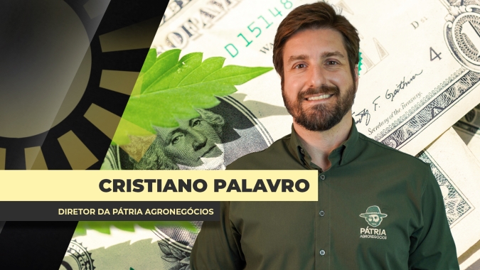 Preços da soja têm espaço para mais baixas no Brasil até que passe o pico da colheita; pressão do dólar é intensa