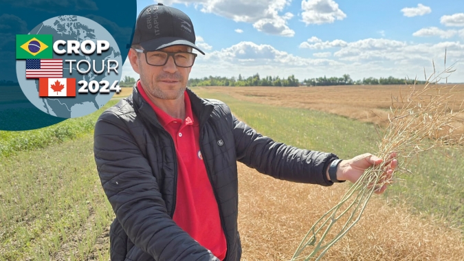 No Canadá, crop tour visita duas províncias produtoras, verificando lavouras de trigo e colza se concluindo