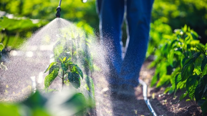 COP30: CropLife Brasil e IICA unem academia e produtores para discutir manejo nas lavouras conectado à adaptação climática