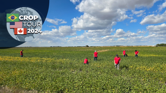 Dia 12: Primeiras paradas no Canadá registram campos de colza em fase de conclusão e trigo sendo colhido