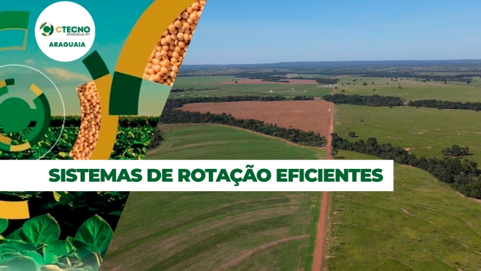 Pesquisa testa sistemas de rotação de culturas para estabilizar produção em solos siltosos