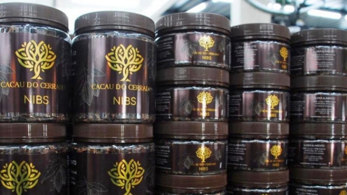 Cacau cultivado no oeste baiano tem alta produtividade e já chega às prateleiras dos supermercados