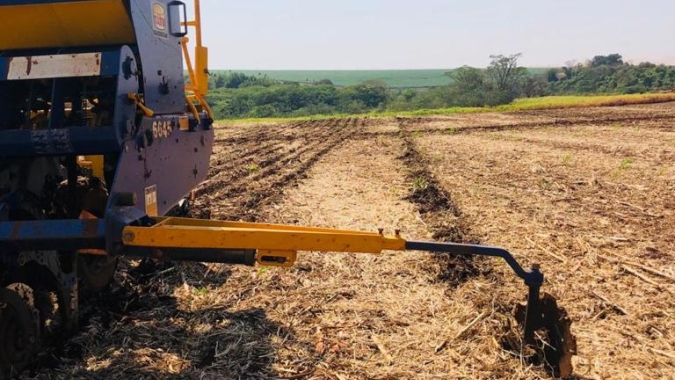 Plantio de soja no Paraná vai a 97% da área, mas mantém atraso; milho verão é concluído