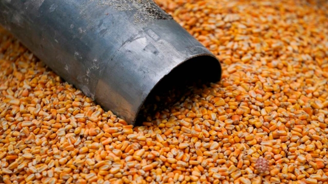 Falta de milho no mercado mantém cotações em alta na B3
