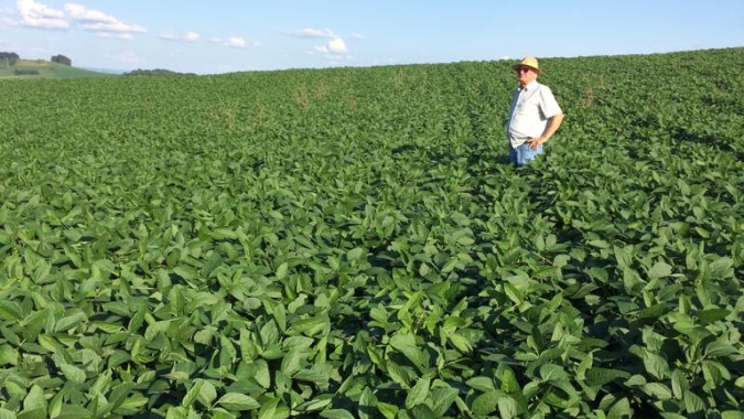 Fecoagro prevé perda maior com estiagem no RS: produção de soja deve cair 18,9%