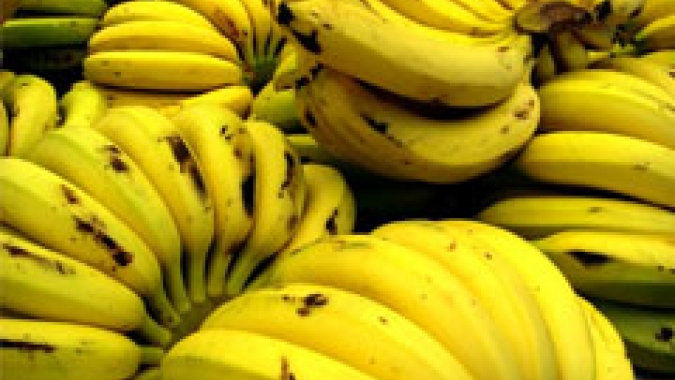 Fruticultores atendidos pela Assistência Técnica e Gerencial do Senar/MS comercializaram média de R$ 950 mil em 2019