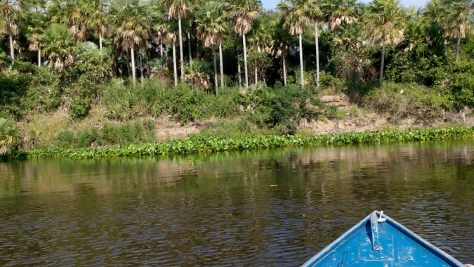 Financiamentos liberados para produtores do Pantanal superam R$ 75 milhões