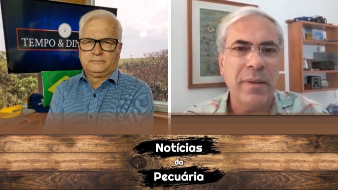 Boi gordo tem mercado parado e estabilidade de precos. Carne suína sobe no varejo de SP
