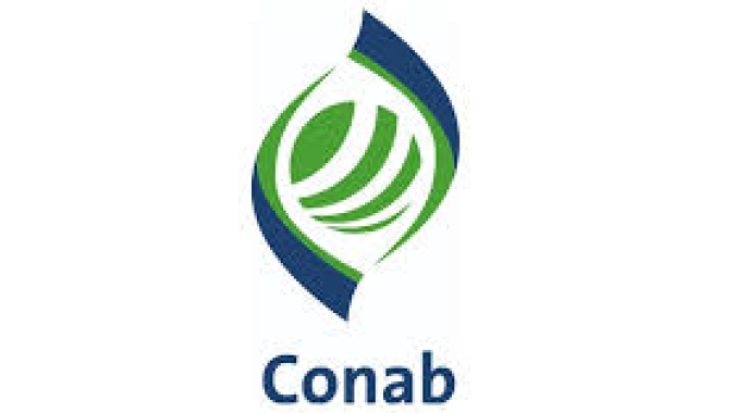 Conab tem novo presidente