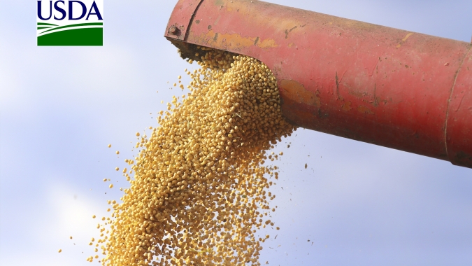 USDA pode aumentar estoques de soja e milho dos EUA diante de demanda limitada